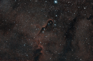 IC1396 Elephant Trunk