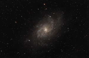 M33