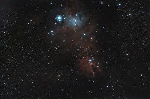 NGC2264 Christmas Tree Cluster adj_sm